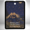 17 2027 The Year Ahead: Geminis (Pre order)